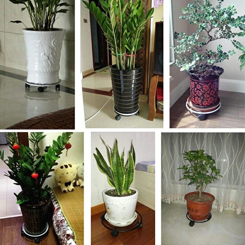 Plant Caddy Stand, Movable Flower Pot Tray, Stainless Steel Cylinder Trolley, Multipurpose Heavy Duty Stand with Wheels Plant Caddy Stand, Movable Flower Pot Tray, Stainless Steel Cylinder Trolley, Multipurpose Heavy Duty Stand with Wheels
